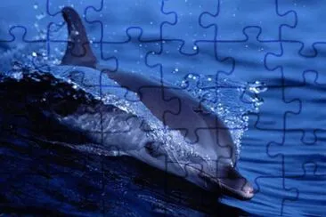 LOS DELFINES SON LOS SERES MÃS INTELIGENTES jigsaw puzzle