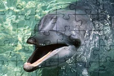 YA LLEGUÃ‰!!! jigsaw puzzle