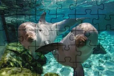 PASEANDO CONTIGO jigsaw puzzle
