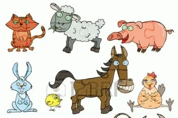 vacas