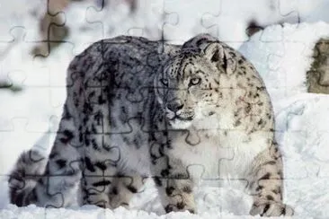 favorites jigsaw puzzle