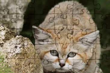 . jigsaw puzzle