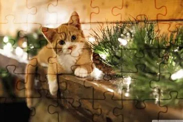 פאזל של christmas cat