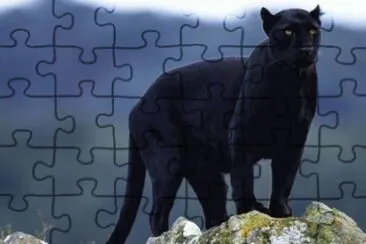 august3 jigsaw puzzle