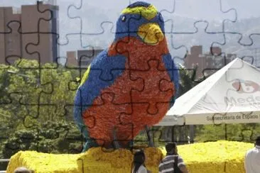 pajaro