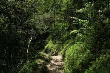 Cerro San Javier. TucumÃ¡n. Argentina