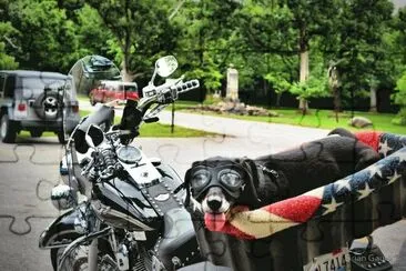 Easy Rider jigsaw puzzle