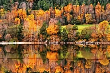 autumn-94