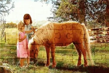 cavalo jigsaw puzzle