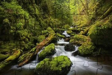 2 jigsaw puzzle