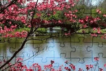 paysage