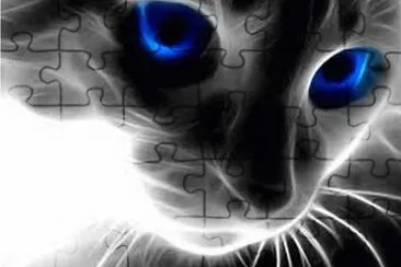 divers jigsaw puzzle