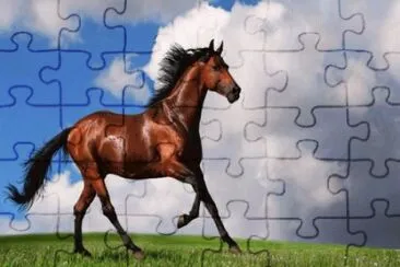 august7 jigsaw puzzle