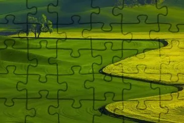 470 jigsaw puzzle