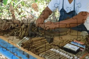 Cigars being rolled in Mexico