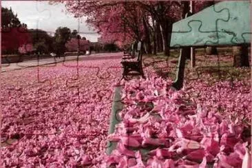 Natureza