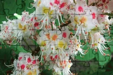 flor jigsaw puzzle