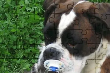 Good Time jigsaw puzzle