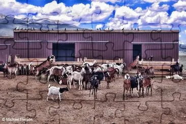 Goats and Birds jigsaw puzzle