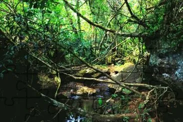 En el PN IguazÃº. Misiones. Argentina jigsaw puzzle