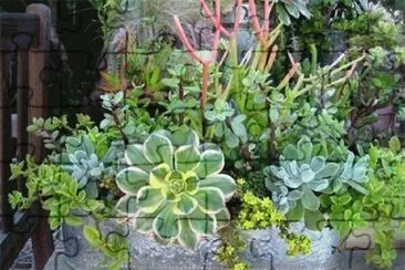 verde jigsaw puzzle