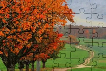 automne jigsaw puzzle