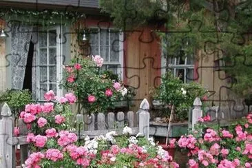 NÂº 1306 jigsaw puzzle