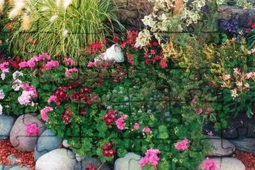 flores