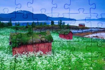 263 jigsaw puzzle