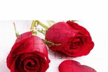 varios jigsaw puzzle