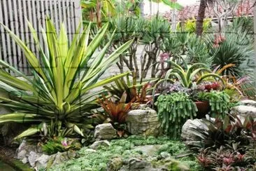 jardin