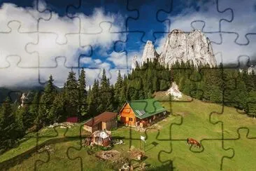 NÂº 1314 jigsaw puzzle
