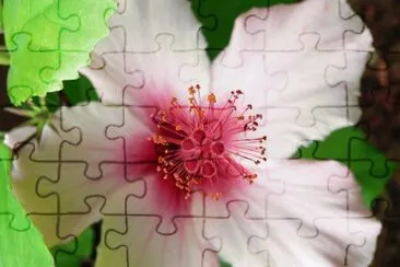 fleur jigsaw puzzle