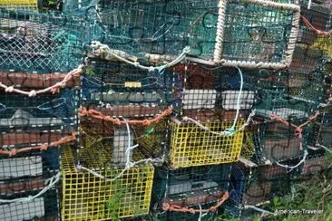 Lobster Traps