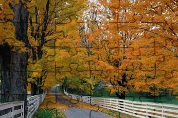 Natureza
