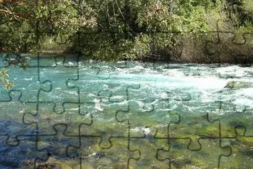RÃ­o Correntoso. NeuquÃ©n. Argentina jigsaw puzzle