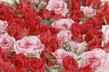 Rosas jigsaw puzzle