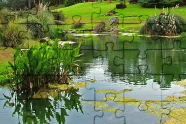 En Pinamar. Buenos Aires. Argentina jigsaw puzzle