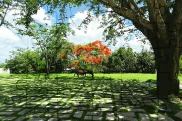 פאזל של Santa Clara. Cuba
