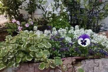 jardÃ­n jigsaw puzzle