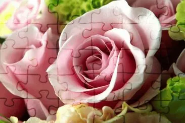 Rosas jigsaw puzzle