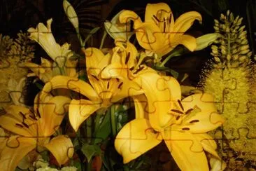 Flors jigsaw puzzle