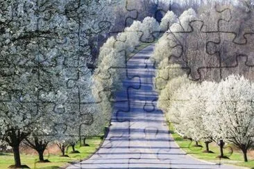 Natureza jigsaw puzzle