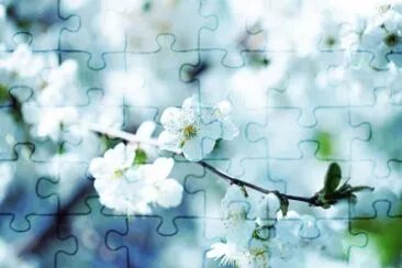 f jigsaw puzzle