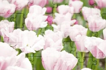 f jigsaw puzzle