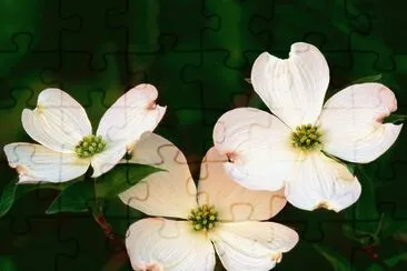 f jigsaw puzzle