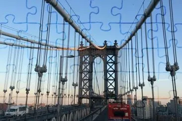 pont brooklyn