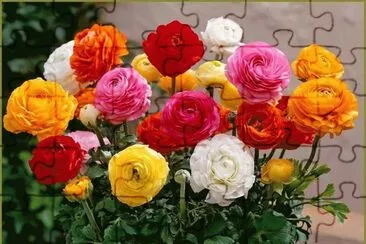 flor