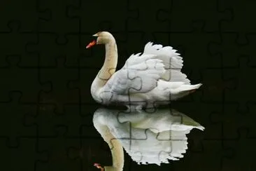 cisne jigsaw puzzle