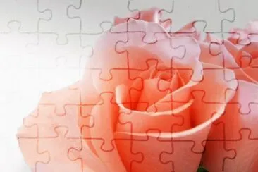 flores jigsaw puzzle
